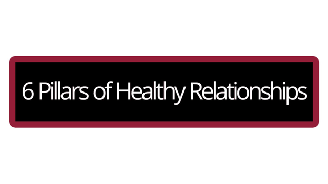 6 Pillars of Healthy Relationships